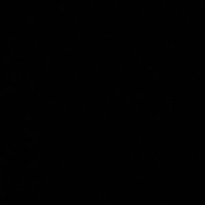 Meet your Posher, Lacey